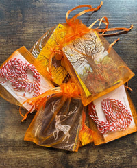Gift Tags (set of 10)